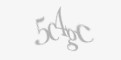 Защитный код