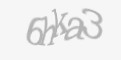 Защитный код