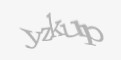 Защитный код