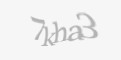 Защитный код
